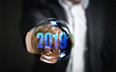 2019 in review
